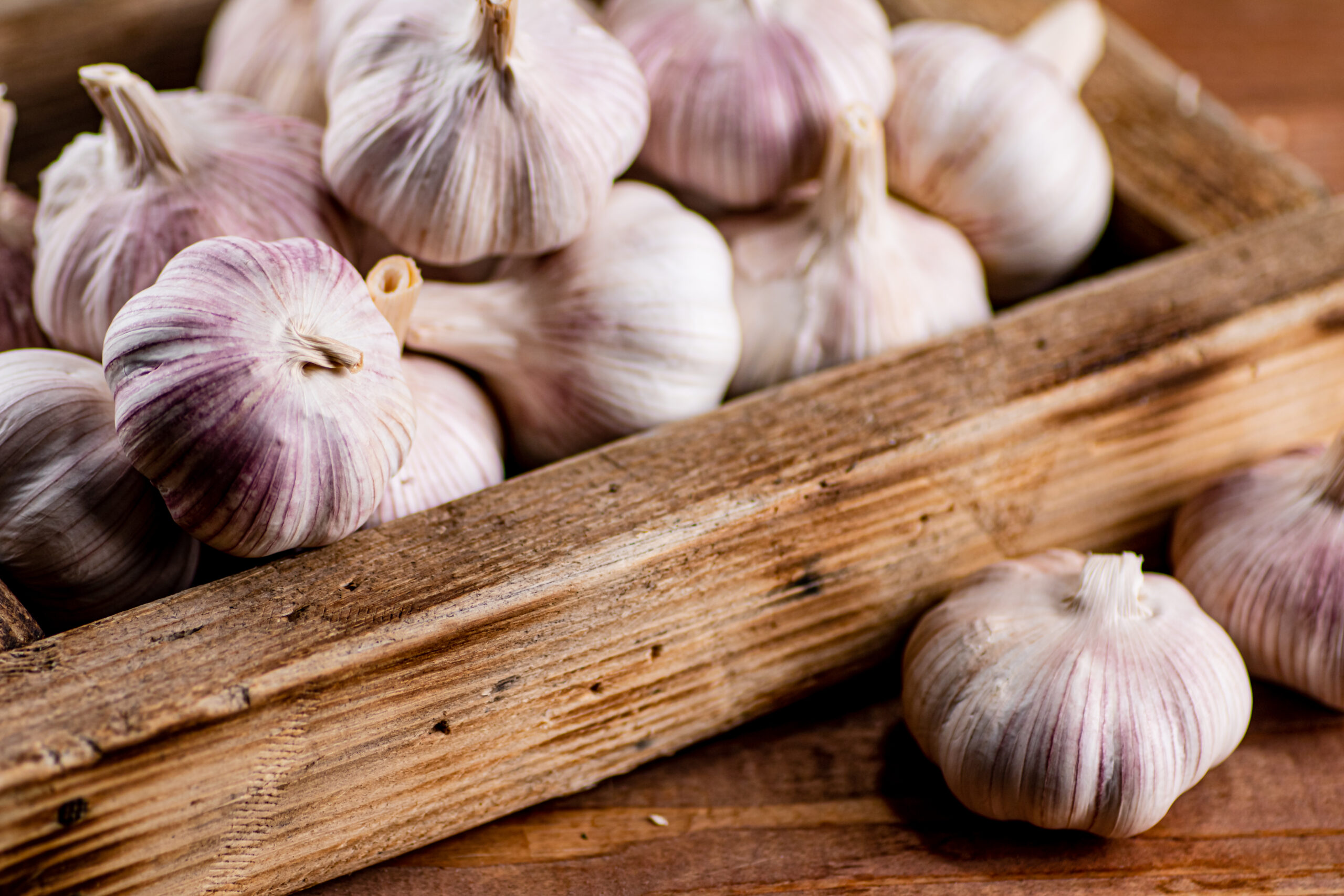 fragrant garlic on a wooden tray 2022 01 12 00 43 21 utc scaled